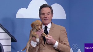 Bryan Cranston tried to help rescue puppies get adopted by embellishing their resumés on The Late Show with Stephen Colbert: “Brody can’t confirm that he was part of the mission that killed Bin Laden, but..." | Yahoo News
