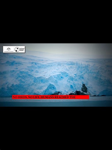 Living Conditions in Antarctica: Life at the South Pole