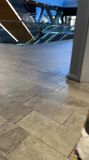 Little Explorers Roaming the Mall Halls | David Family