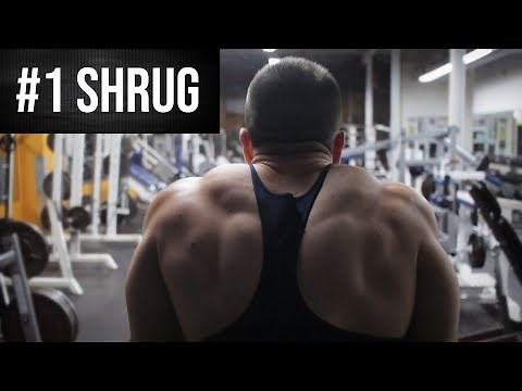 The BEST Shrug For Huge Traps!