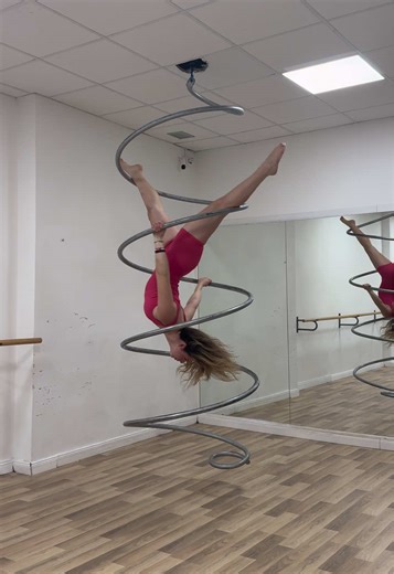 Aerial Dance Performer: A Unique Circus Experience