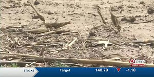 Kansas agriculture experts hopeful farmers, crops can overcome drought conditions