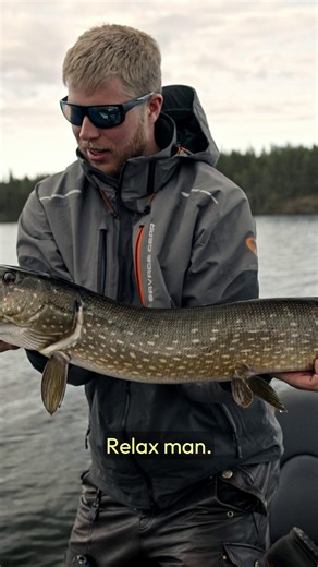 Topwater Mayhem is calling! 🔥The winters feel endless, but that makes those spring bites even more insane! 🐊 🎞️ Don’t miss Chasing Legends Ep1 on YouTube💥Topwater action deluxe! #savagegear #chasinglegends #pikefishing #pike | Savage Gear