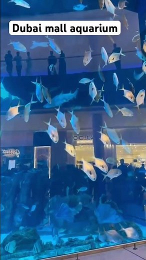 😍 Inside Dubai Mall Aquarium | Unreal Underwater World 🐠🇦🇪