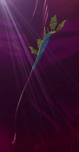 Flag Spanish Province Alava Basque Country: стоковое видео (без лицензионных платежей), 3758905667 | Shutterstock