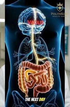 Consistent Sleep for Hormonal & Gut Balance #healthylifestyle #wellness #SleepTips