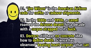 The Science of Death: 30 Facts About Dead Bodies - Fact Republic