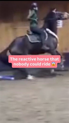TRTmethod | Tristan Tucker | Horse Training on Instagram: "8 falls in 2 years. 😱 This is the reality Johanna faced with her horse, Herman. She loved him, but she was terrified. In a new episode of TRT Rescue, I explained that the problem wasn’t Herman being “bad’’. The problem was that he had “zero connection” with his own body. It was like a “fuse box where all the wires are loose.” C️urious to watch the full episode for free? Comment ‘’EPISODE’’ and I’ll send you the link!"