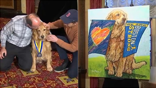 After Cancer Diagnosis, ‘Boston Strong' Dog Honored With Portrait, Marathon Medal
