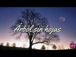 Árbol sin hojas - Dread Mar I (Letra)