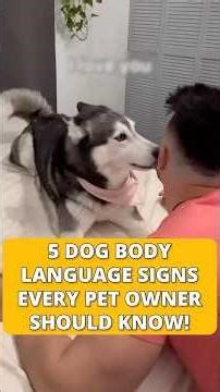 5 Dog Body Language Signs EVERY Pet Owner Should Know