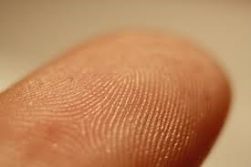 NIST N2N Challenge shows progress towards operator-free rolled fingerprint enrollment | Biometric Update