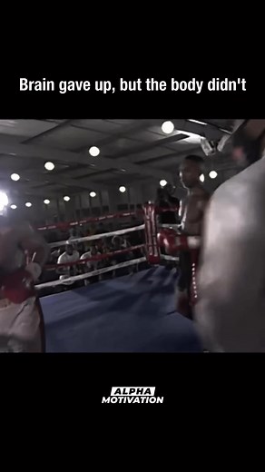 This was Simiso Buthelezi’s final moments in the ring. A young warrior whose heart kept swinging even when his mind could no longer follow. He passed away days later from a brain bleed. 24 years old. A career just beginning. A life with so much more to give. Let this remind us of the courage these men carry into the ring and the price some of them pay. Rest in power, Simiso ⚡️ | Alpha Motivation