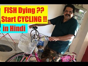 How to Save Fish From Dying in New Aquarium | How to Cycle Aquarium | Why Fish Dying in aquarium