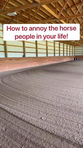 Use these tips to annoy the horse people in your life. Just because. 😂😉 #horseperson | Double Z Farm