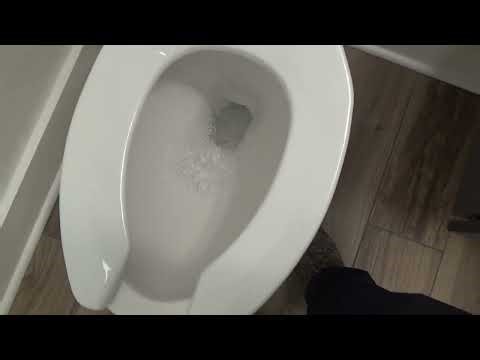 Srah Walker, APRN, PMHNP-BC Lake Charles Employee restroom