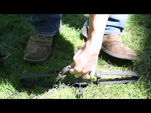 Dog caught in a trap? It's easy to open them. Here's how