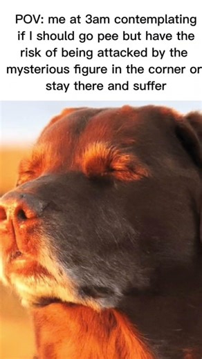 This is just fax#memes #funny #viral #fyp