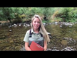 Virtual Ranger: Field day with our Biological Science Techs