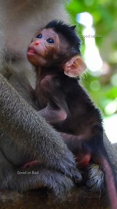 Really precious adorable newborn baby! really sweetie and cuteness baby! | Good Or Bad