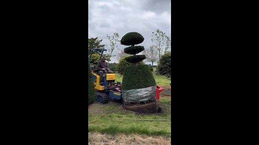 Engineering Skills in Action