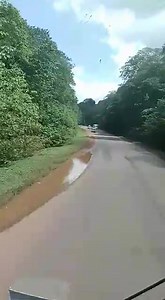 Cruising through Mabira forest along Jinja-Kampala road between Lugasi and Jinja. A good forest that needs a Ugandan cousin who knows how to keep a secret 🫣 It's the largest block of moist semi-deciduous forest remaining in the central region of #Uganda. The reserve occupies gently undulating country, characterized by numerous flat-topped hills and wide, shallow valleys. Some of these valleys have papyrus (Cyperus papyrus) swamps. Visit #Uganda. NAIROBI ➡️KAMPALA daily services NAIROBI ➡KAMPALA