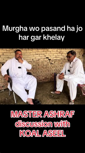 Master Ashraf Discusses Koal Aseel Breeding