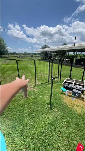 no dig fence system for creating a safe and functional backyard space, easy DIY fencing solution for