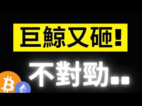 比特幣鏈上大鯨魚持續砸盤..6萬必破? 熊市大底就在這裡..四年一度的抄底機會這次別再錯過了! #BTC #ETH