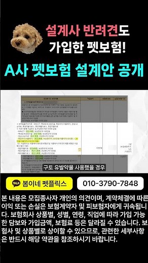A사 펫보험 완벽분석! 강아지보험 비교 및 추천으로 가입하기!!