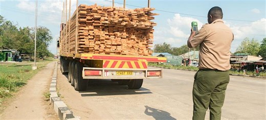 Tackling deforestation with timber tracker - Wildlife Trade News from TRAFFIC