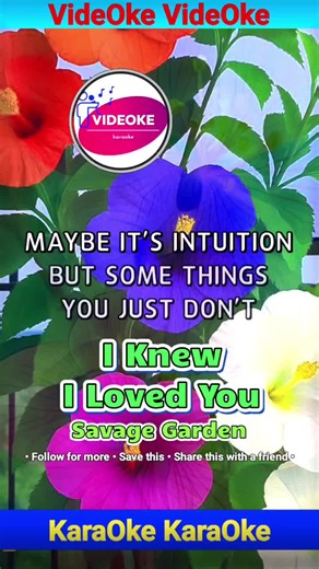 I Knew I Loved You - Savage Garden #videoke #karaoke