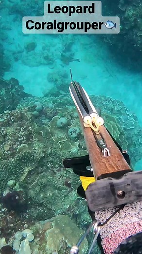 big red fish 🐟 #spearfishing #freediving #fyp | Corokinaboy