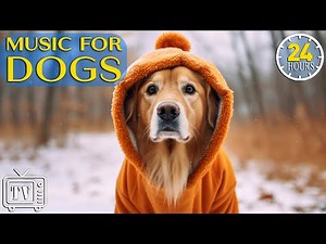 24 Hours Relaxing TV for Dogs! Fast-Prevent Boredom & Anxiety with Music for Dogs! Stress Relief Dog