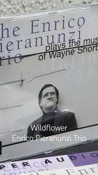 Wildflower - Enrico Pieranunzi Trio