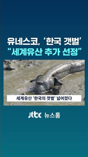 UNESCO: 'Korean Tidal Flats'… Selected as Additional World Heritage Site #JTBC #Shorts