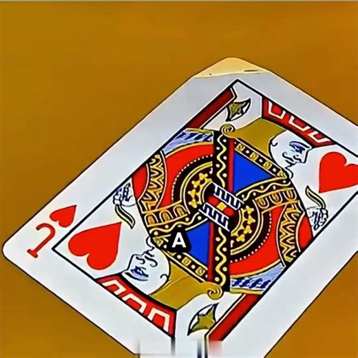 Can a Playing Card Really Kill? MythBusters Tested It