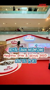 🐾 Step into a purr-fect weekend at Sunway Putra Mall! From adorable cat adoptions to majestic feline competitions, it’s time to celebrate our furry friends in style! 🐱💫 ✨ Don’t miss the FFF MEOWsome International Cat Show, National MEOW Championship, and MEOW Adoption Drive! 📅 17 – 19 October 2025 📍 Main Concourse, GF #RoyalCanin #SunwayPutraMall #CatLovers #CatShowMalaysia #MeowEvent #FelineFiesta #Event | Sunway Putra Mall