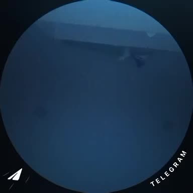 Синий экран смерти (англ. Blue Screen of Death, Blue Screen of Doom, BSoD) — жаргонное (в Microsoft используют термин «BugCheck»[1], на русском языке - «STOP-ошибка») название сообщения о критическом сбое в операционных системах Microsoft Windows. Существует несколько видов сообщений BSoD: для Windows 9x и Windows NT. Его код находится в ядре Windows.