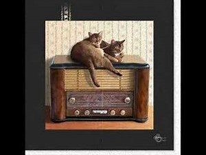 We`re Gonna Hang Out Our Washing On The Siegfried Line