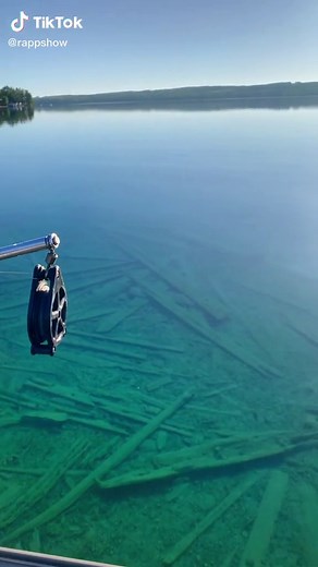 rappshow on TikTok
