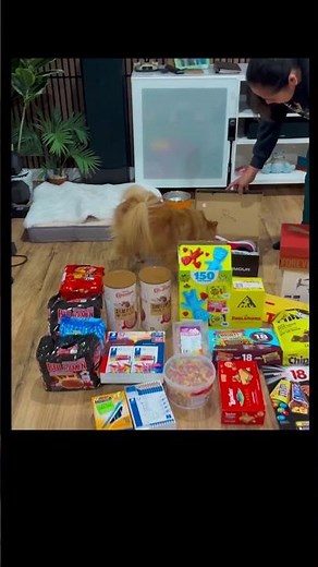 Packing up 3 more balikbayan boxes for the family in the Philippines