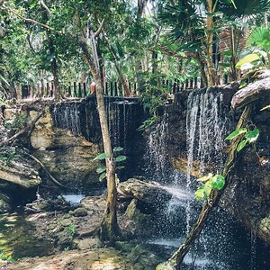 3.7K views · 81 reactions | If Iberostar Tucán were a sound, what would it be? Now we go one step further in the hotel experience by listening to it from our website. | Iberostar Beachfront Resorts | Facebook