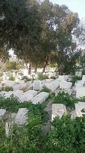 Lgloub khalit walh 💔 | Da Li