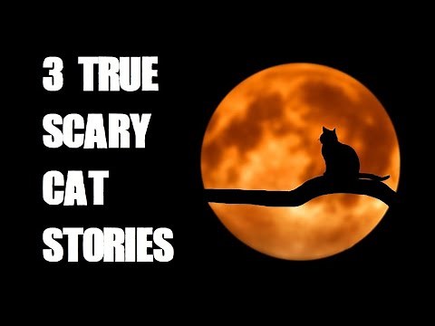 Three True Scary Cat Stories