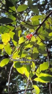 14K views · 15 reactions | We’re putting together a team. Learn more about Tim Dawson’s (@thefairchase) goat army at enjoyer.com. | Michigan Enjoyer | Facebook