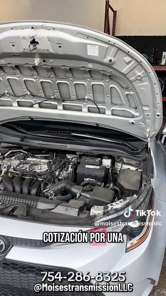 moisestransmissionllc on TikTok