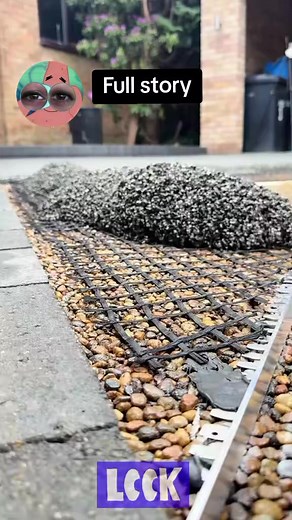 My Journey from Foster Care: A Full Story