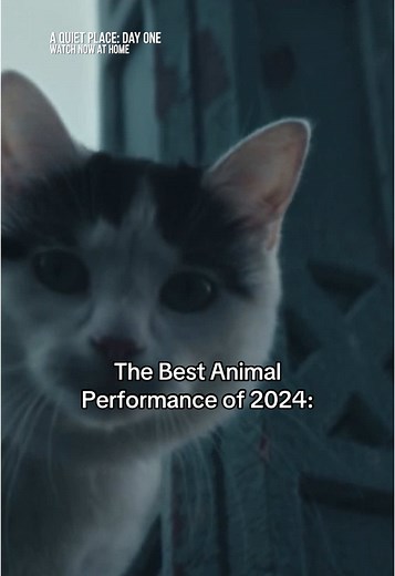 Frodo Wins Best Animal Performance at Las Vegas Critics