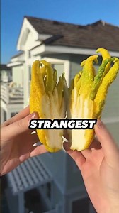 5 SHOCKING Fruit Facts You NEVER Knew! 🚨 | #4 Can Even Explode!